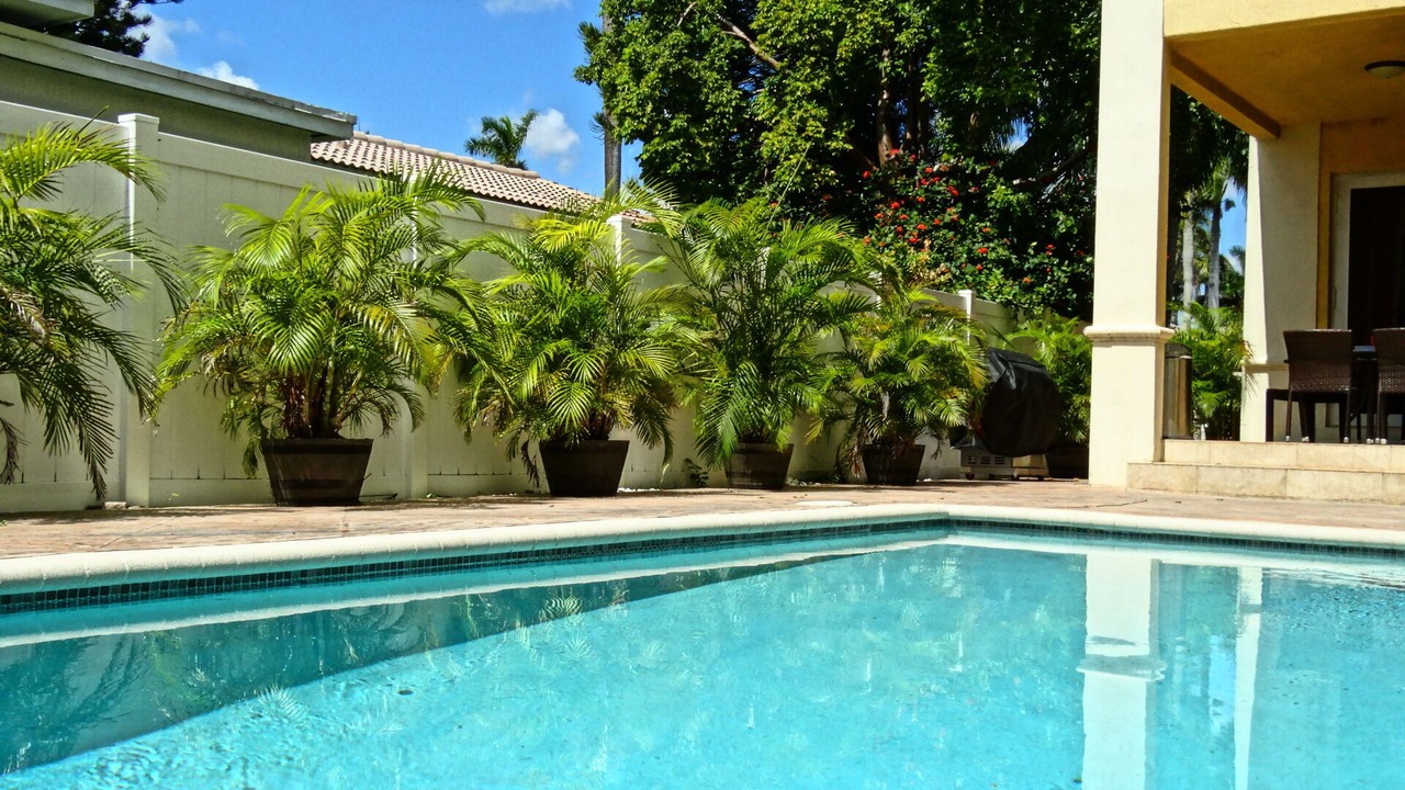 Photo of Outdoor in Hollywood Lakes