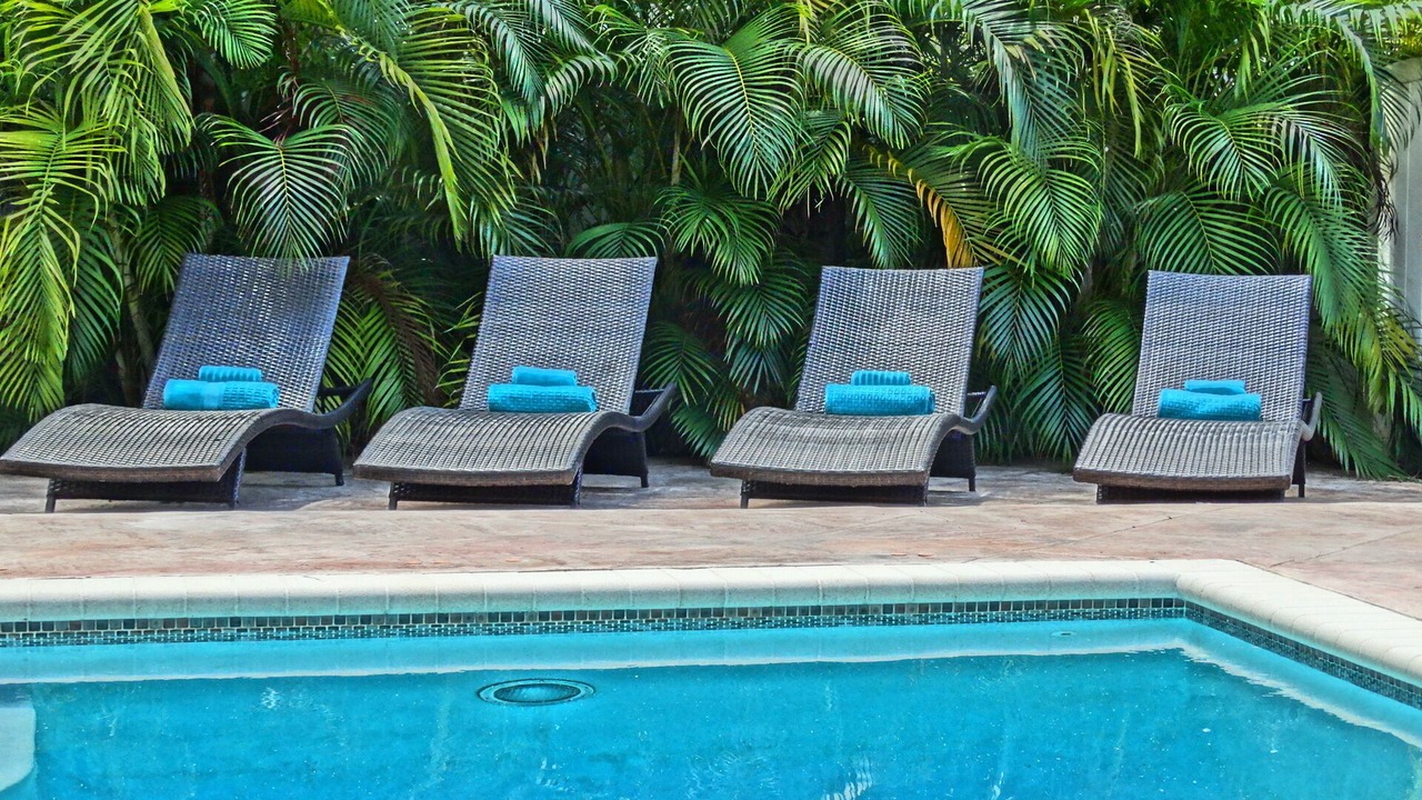 Photo of Outdoor in Hollywood Lakes