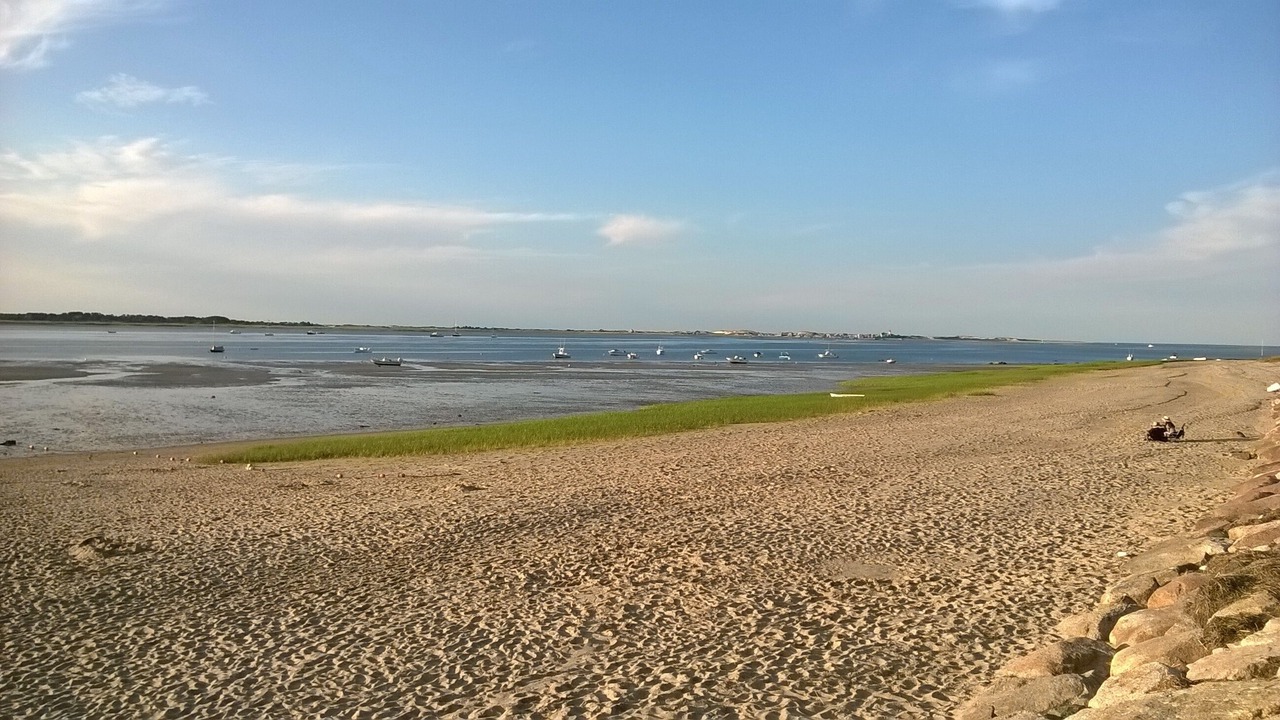 Photo of Others in Cotuit