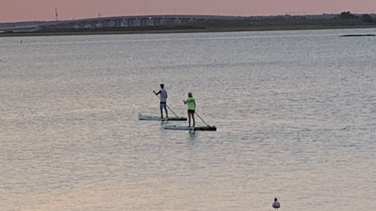 Photo of Others in Ship Bottom