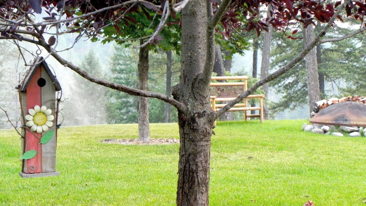 Photo of Others in Bigfork