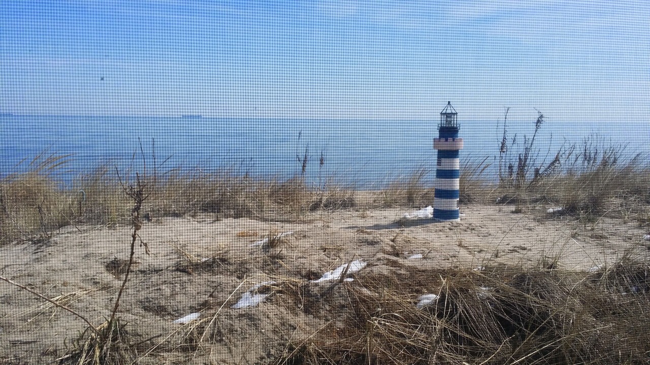 Photo of Others in Prime Hook Beach