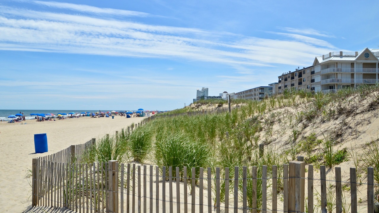Photo of Others in Midtown Ocean City