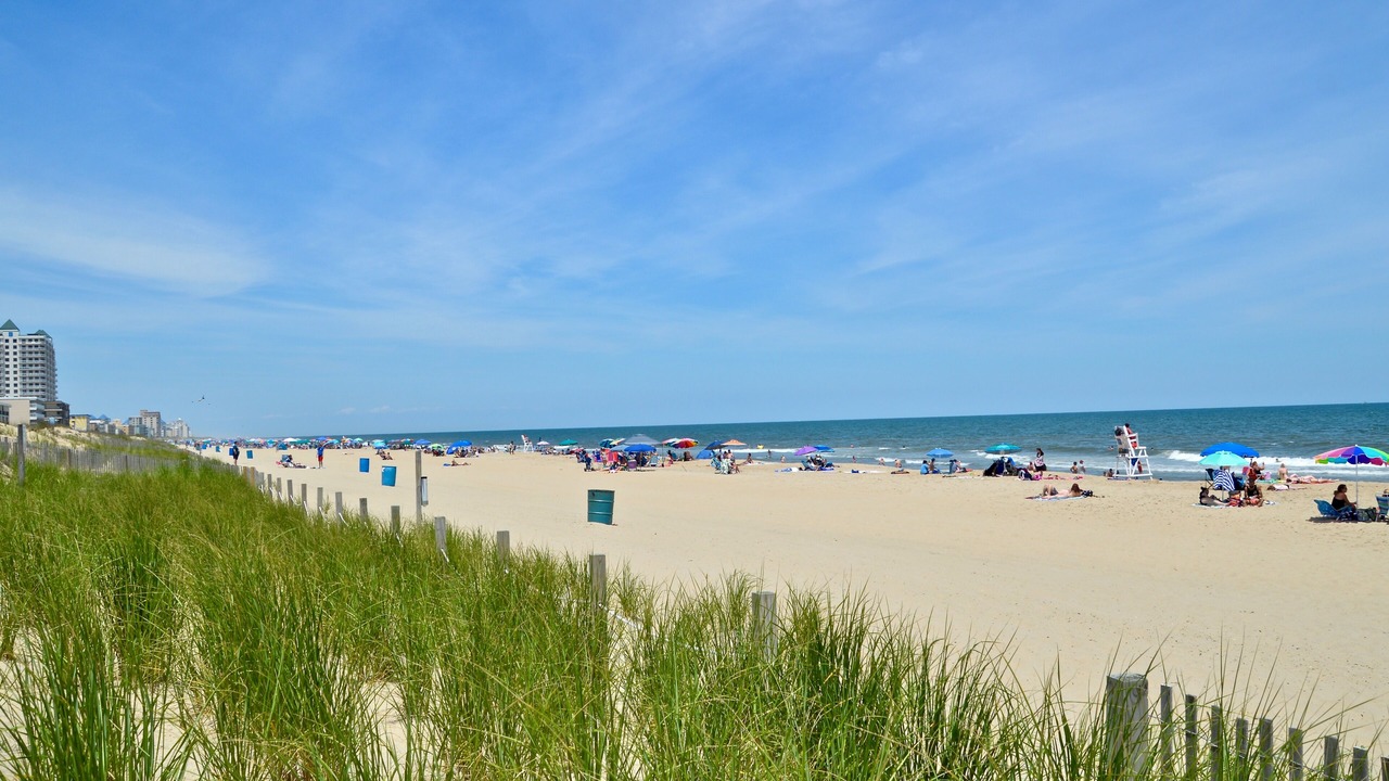 Photo of Others in Midtown Ocean City