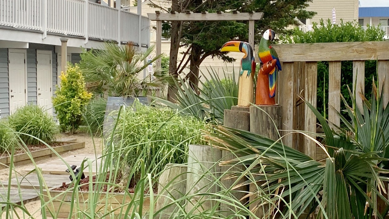 Photo of Outdoor in Midtown Ocean City