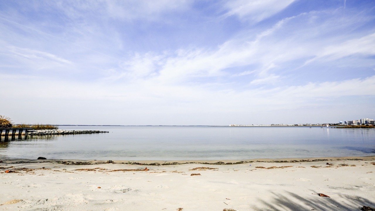 Photo of Others in Sunset Island