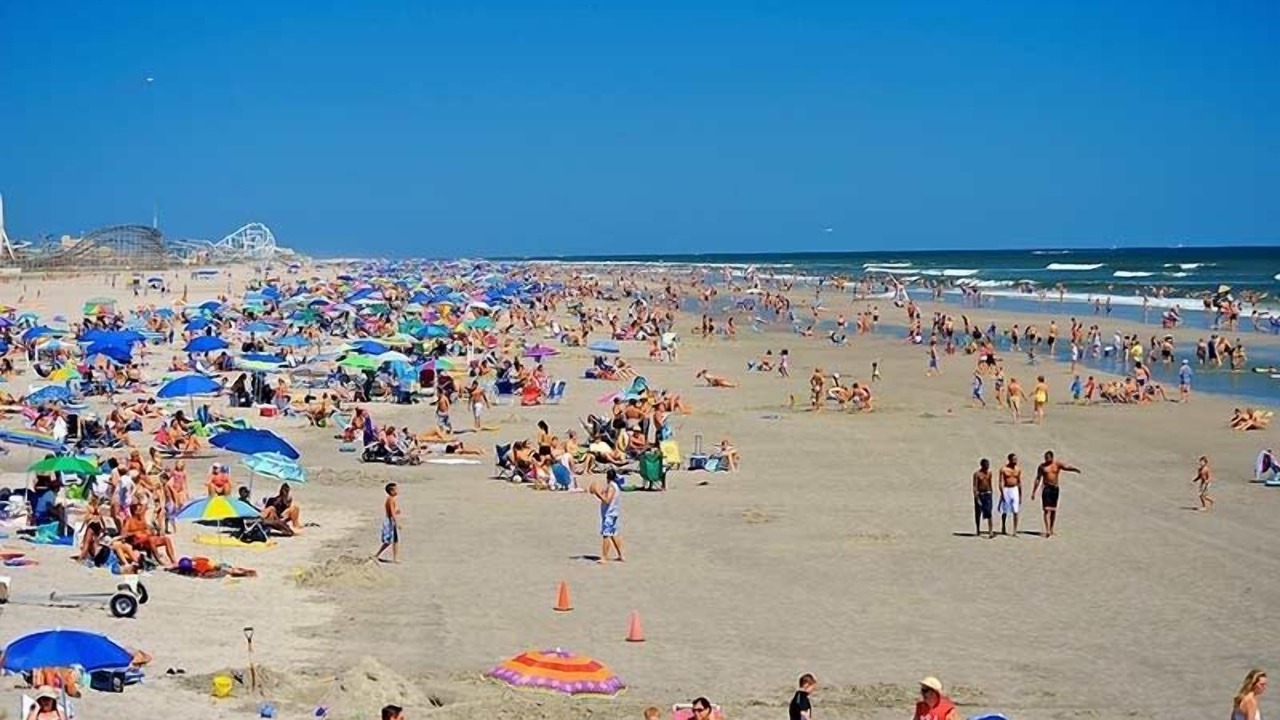 Photo of Others in Wildwood