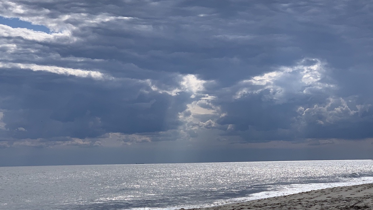 Photo of Others in West Cape May