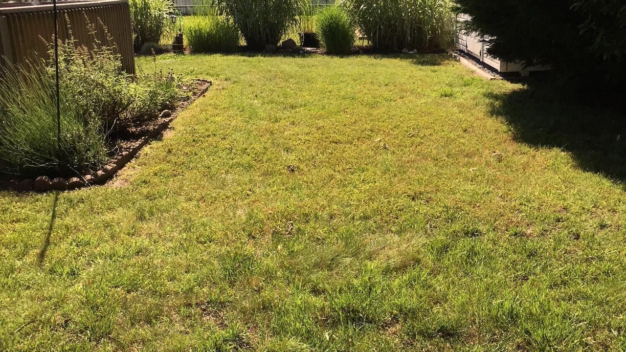 Photo of Outdoor in North Cape May