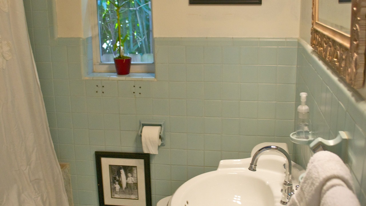 Photo of Bathroom in Hendricks and Venice Isles