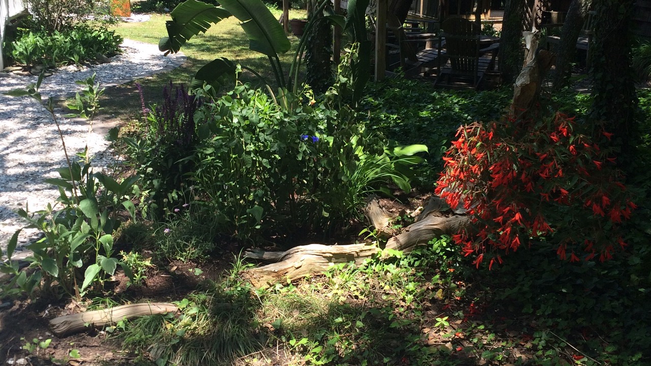 Photo of Outdoor in Cape May Point