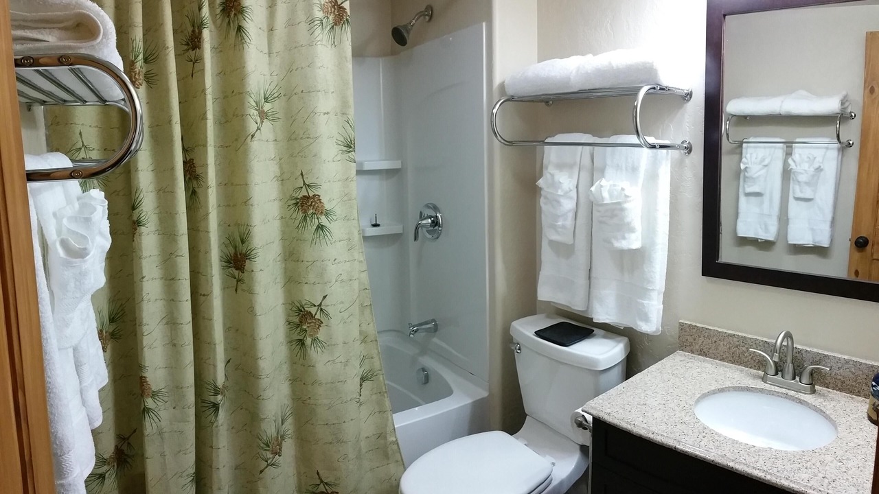 Photo of Bathroom in Martin City