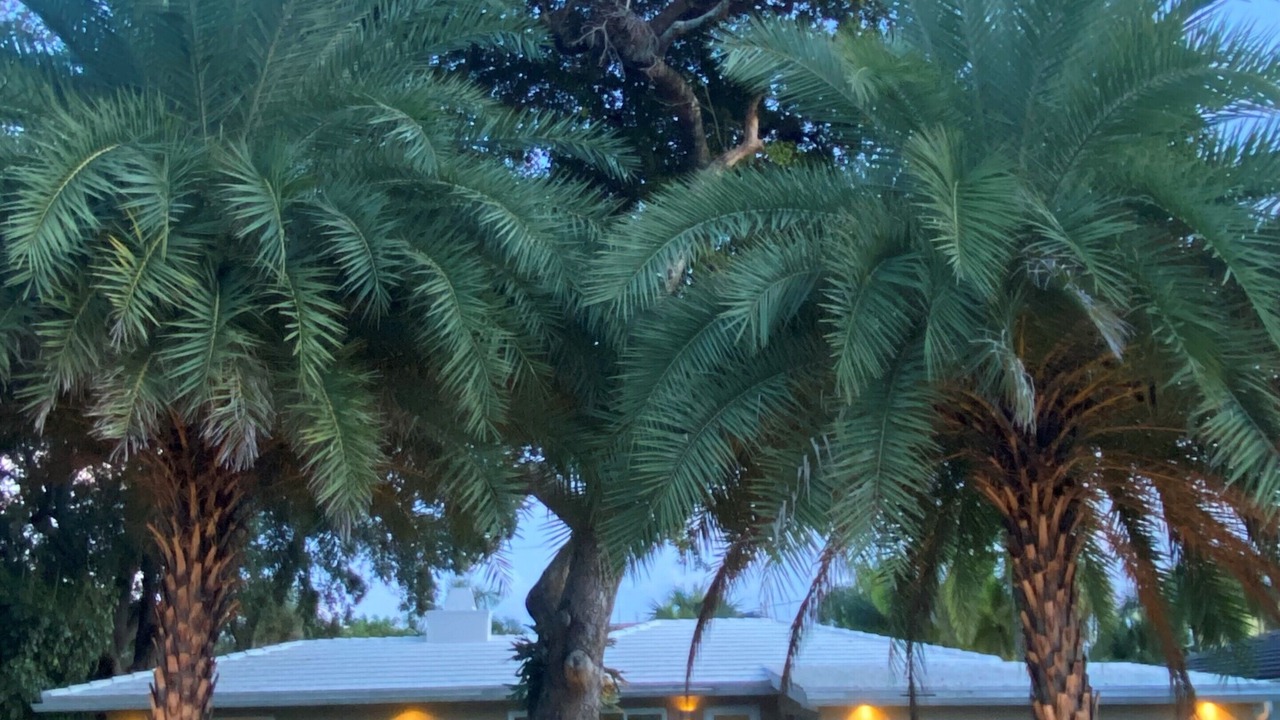 Photo of Others in East Fort Lauderdale