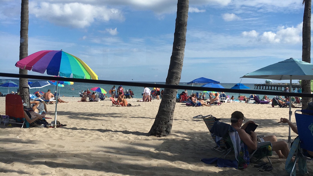 Photo of Others in East Fort Lauderdale