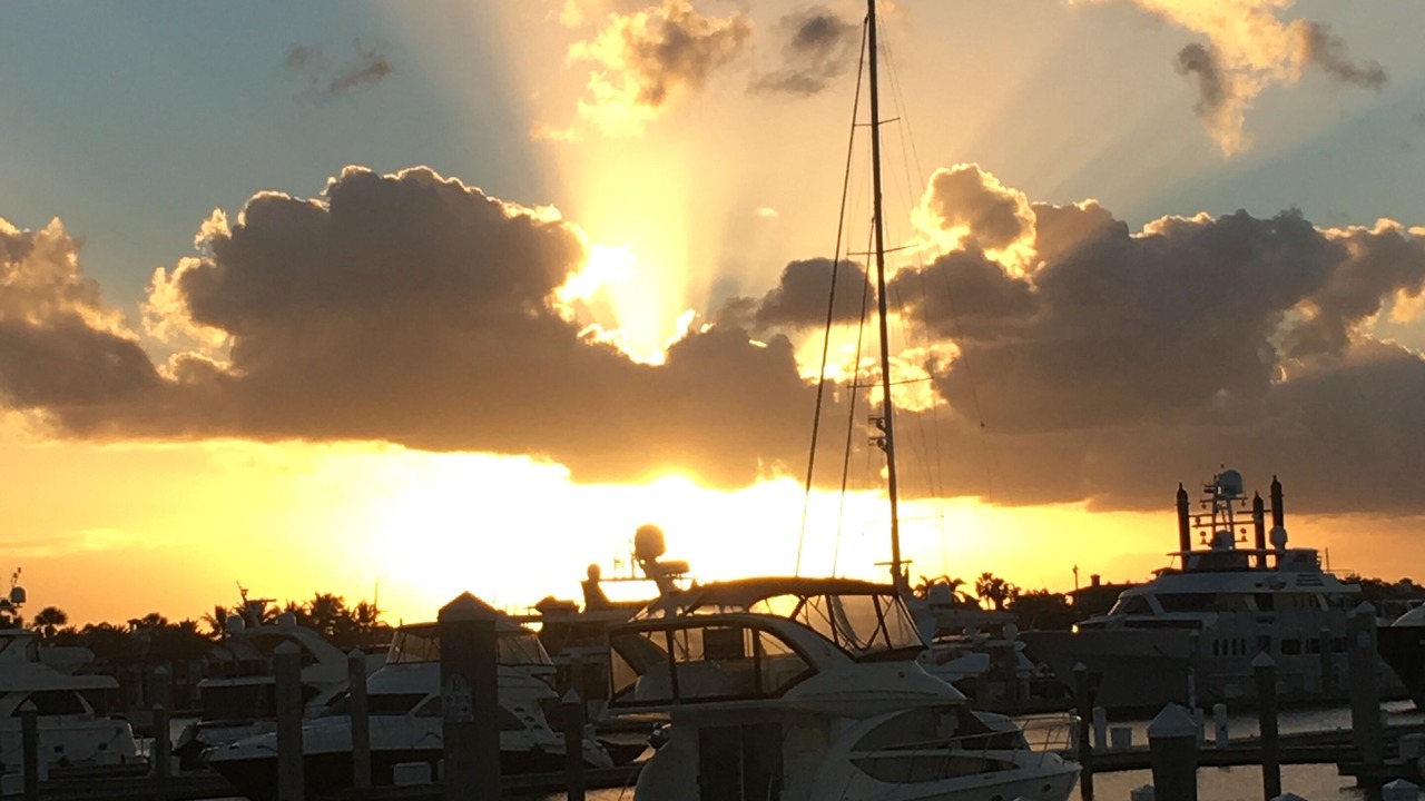 Photo of Others in East Fort Lauderdale