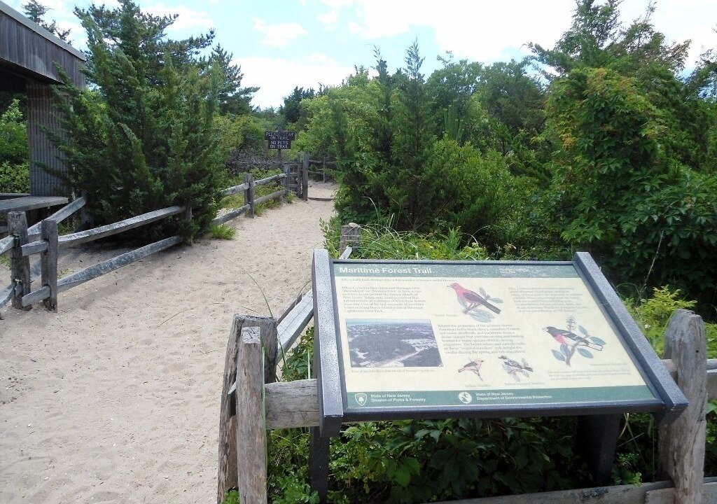 Photo of Others in Beach Haven