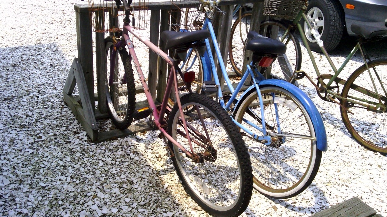 Photo of Others in Beach Haven