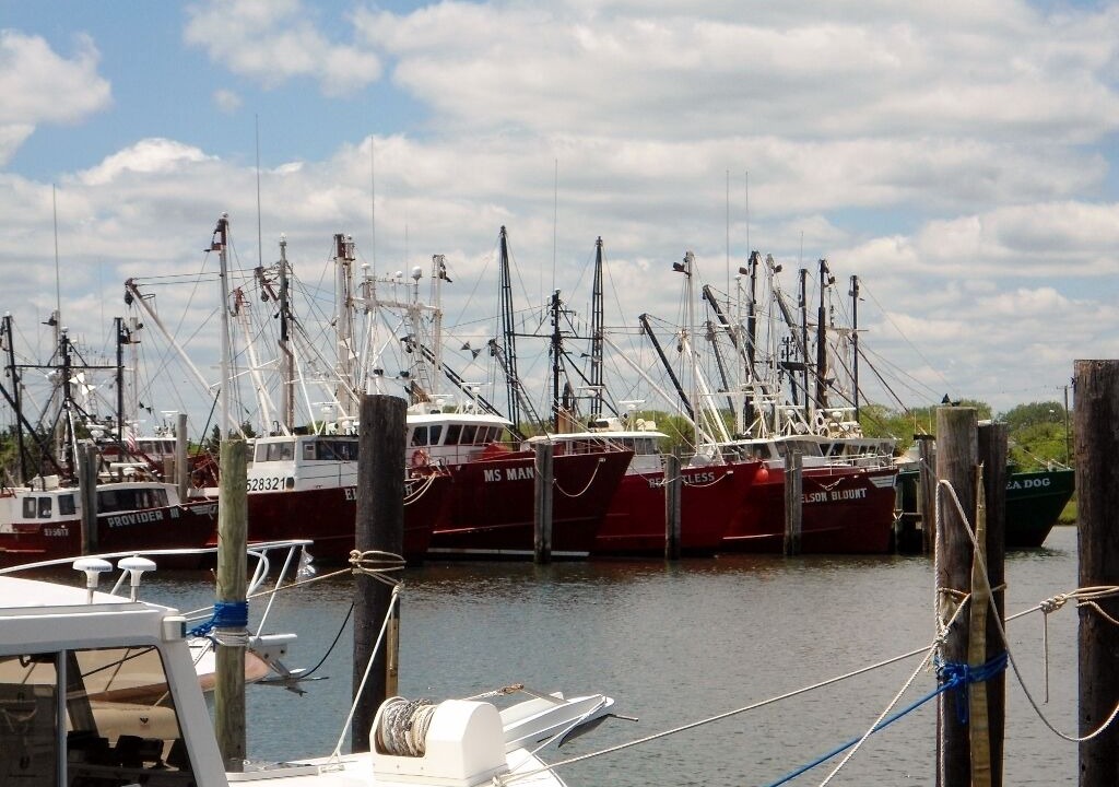 Photo of Others in Beach Haven