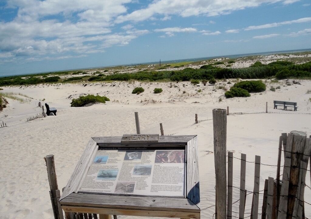 Photo of Others in Beach Haven