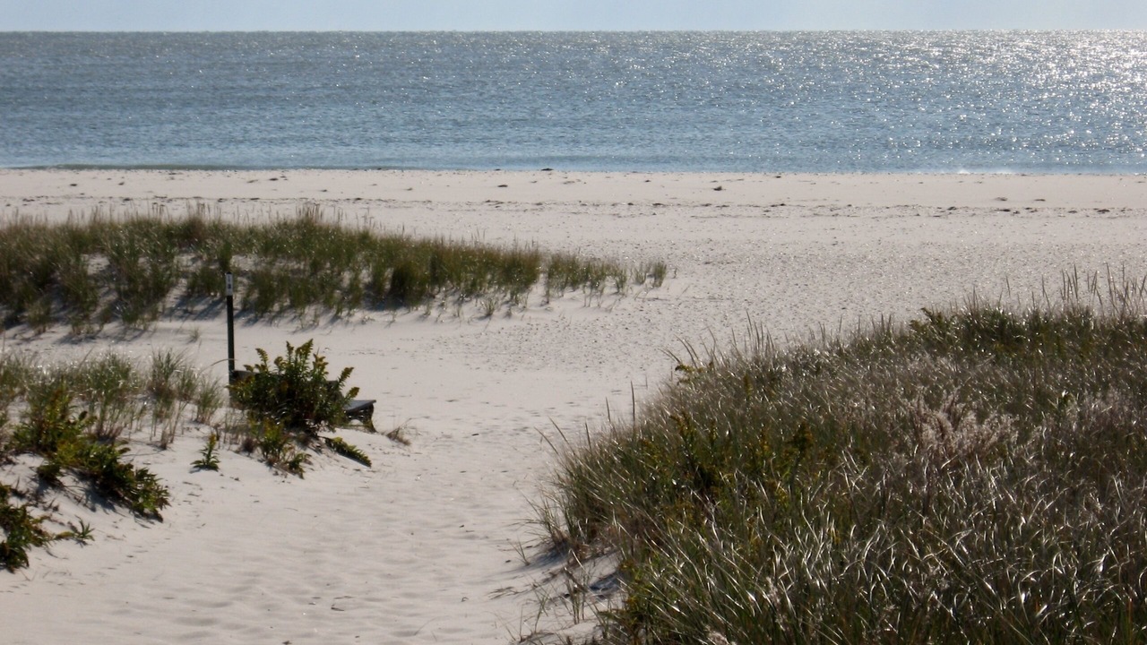 Photo of Others in Beach Haven