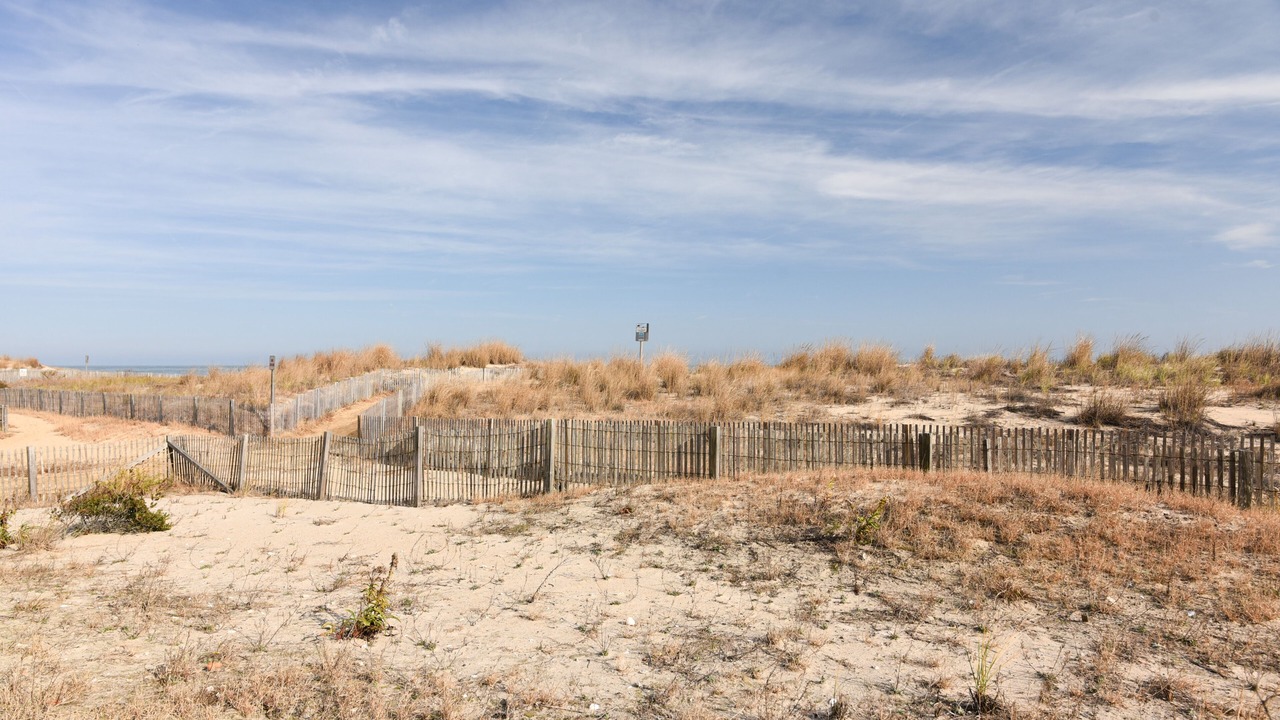 Photo of Outdoor in Midtown Ocean City
