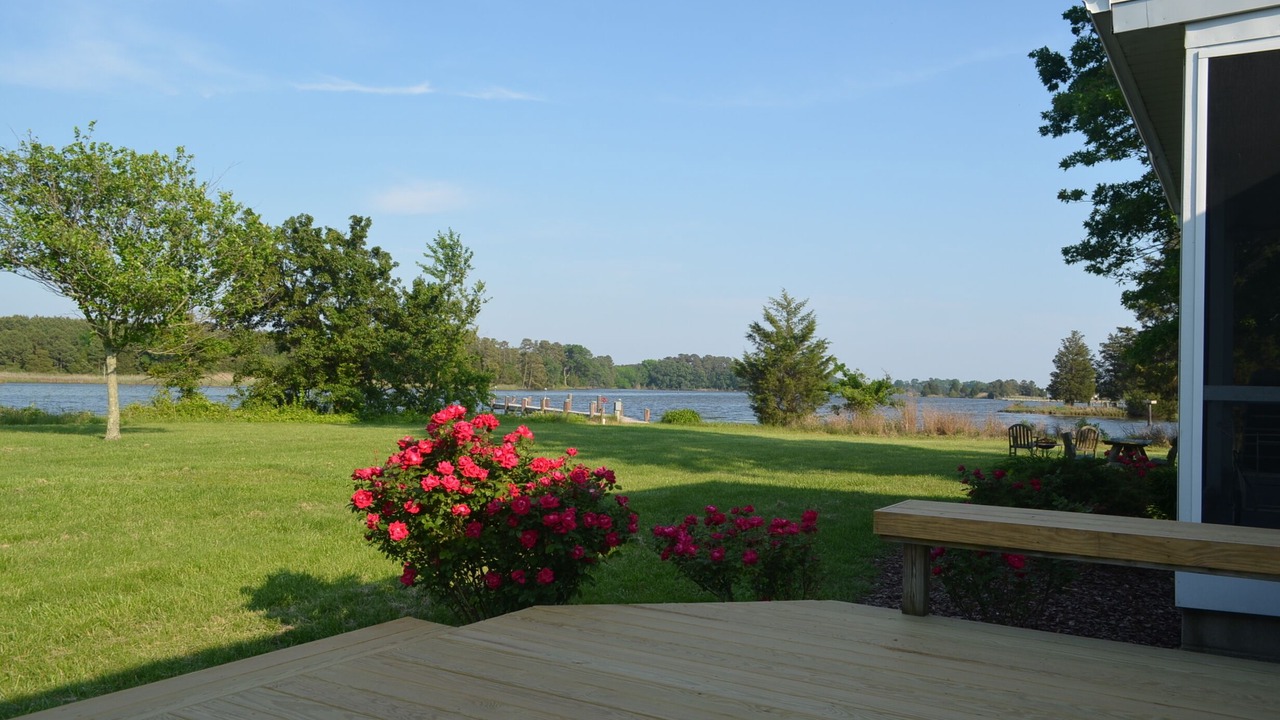 Photo of Outdoor in Cambridge