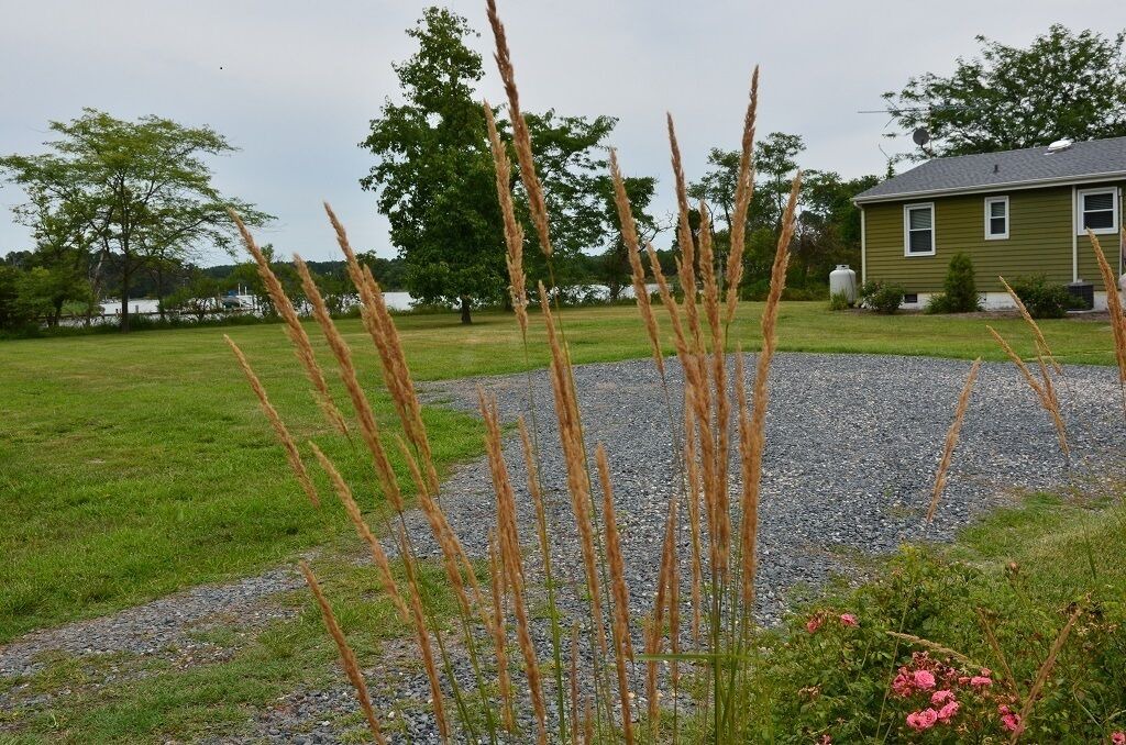 Photo of Outdoor in Cambridge