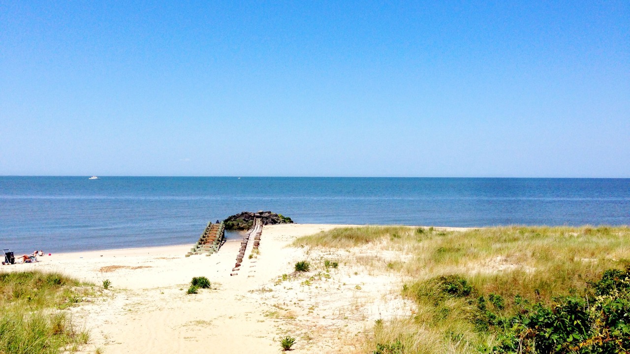 Photo of Others in North Cape May