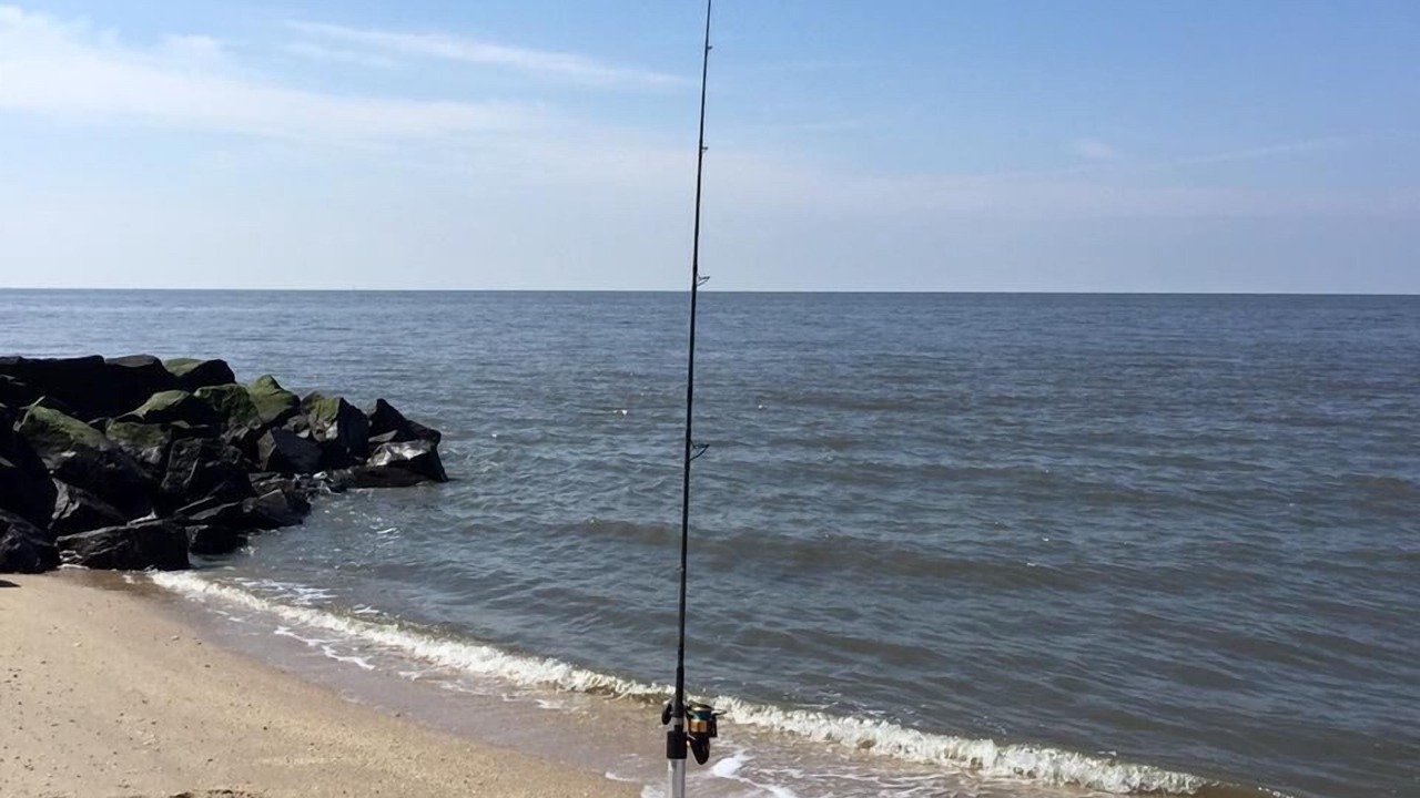 Photo of Others in North Cape May
