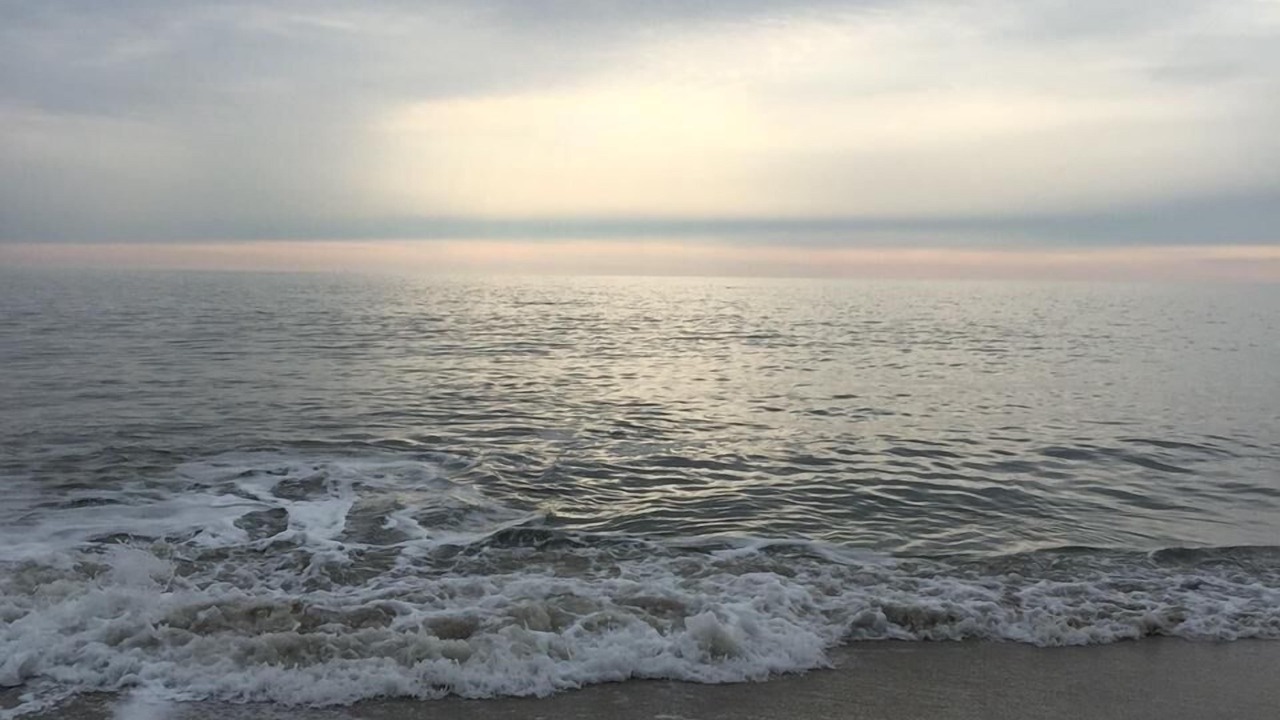 Photo of Others in North Cape May