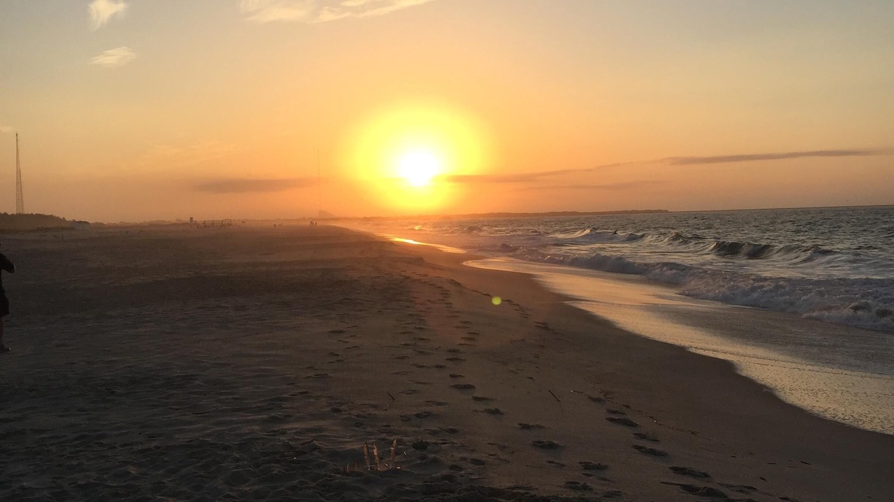 Photo of Others in North Cape May