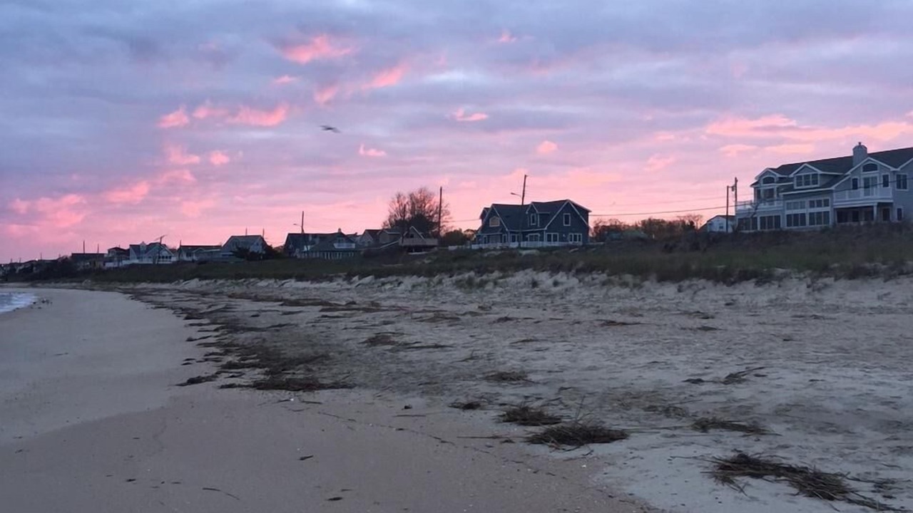 Photo of Others in North Cape May