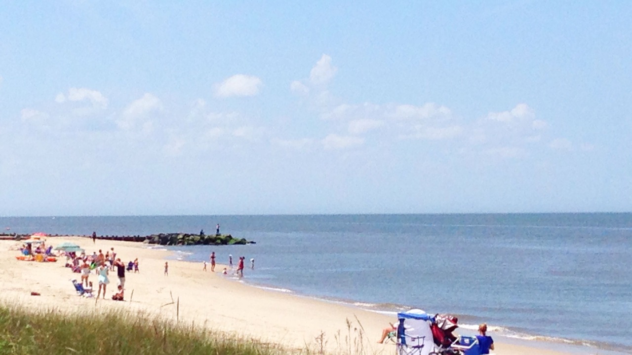 Photo of Others in North Cape May