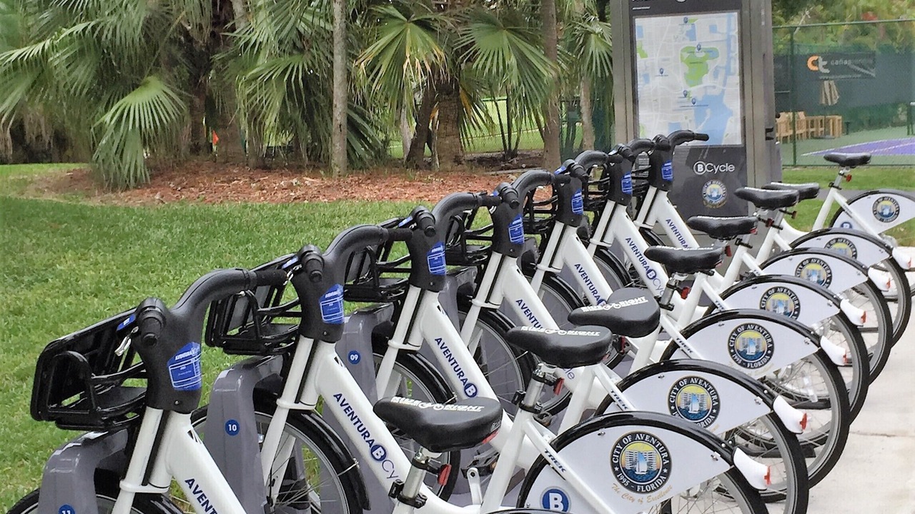 Photo of Others in Aventura