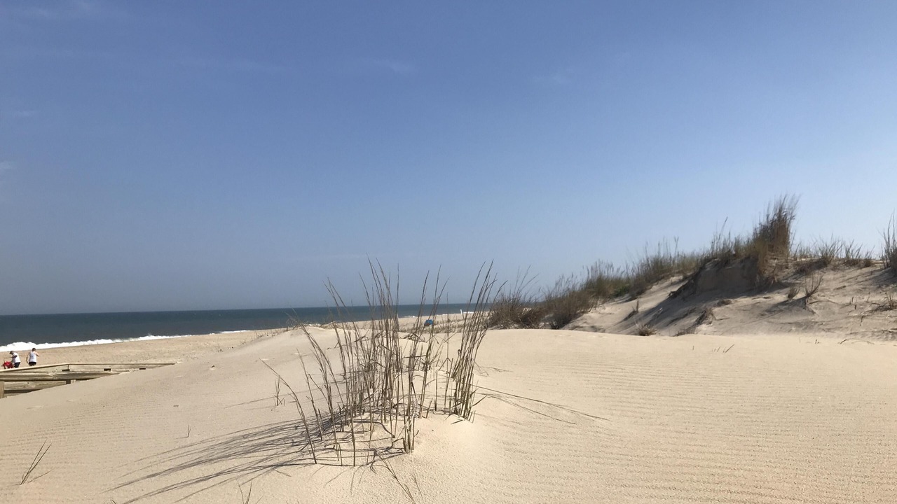 Photo of Others in North Ocean City