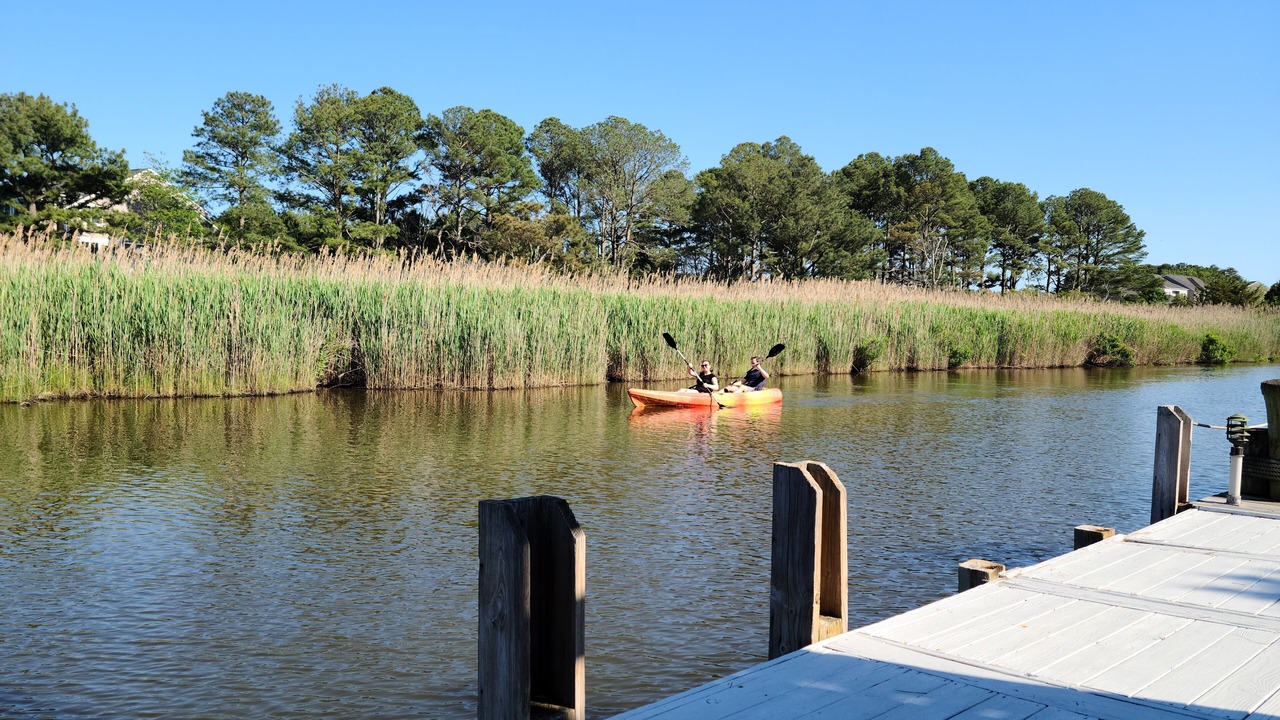 Photo of Others in Selbyville