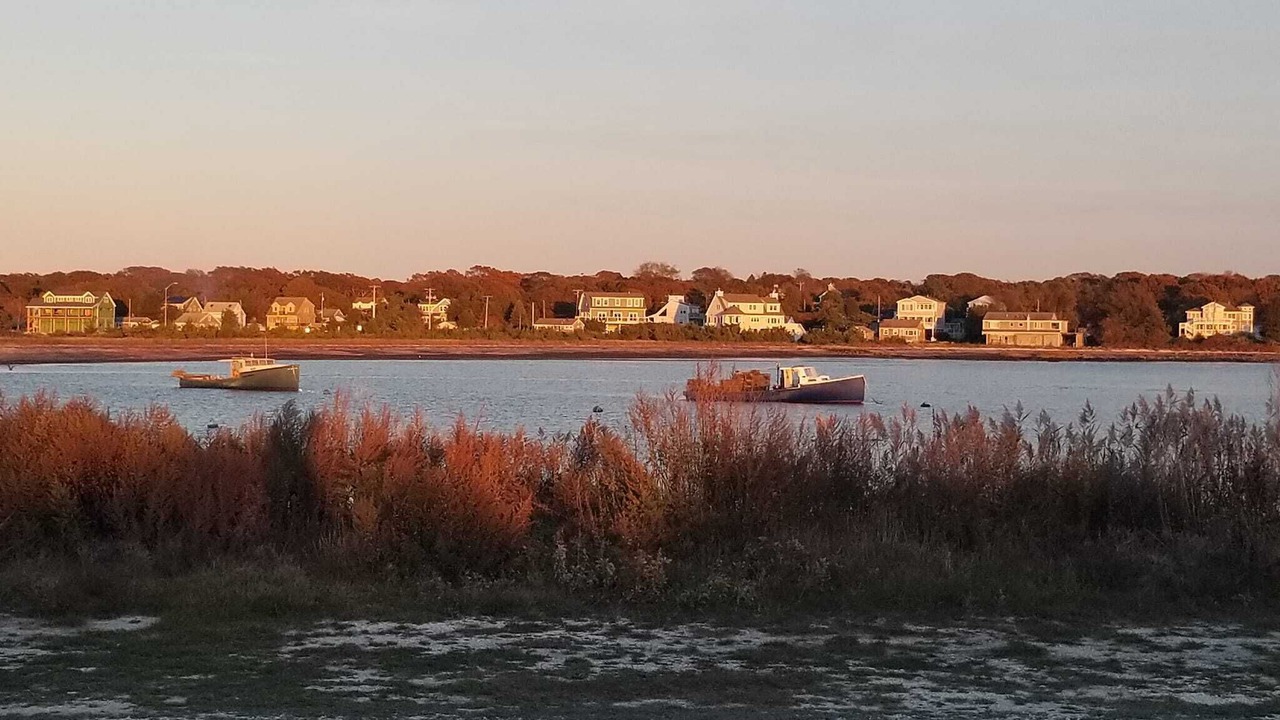 Photo of Others in Fairhaven