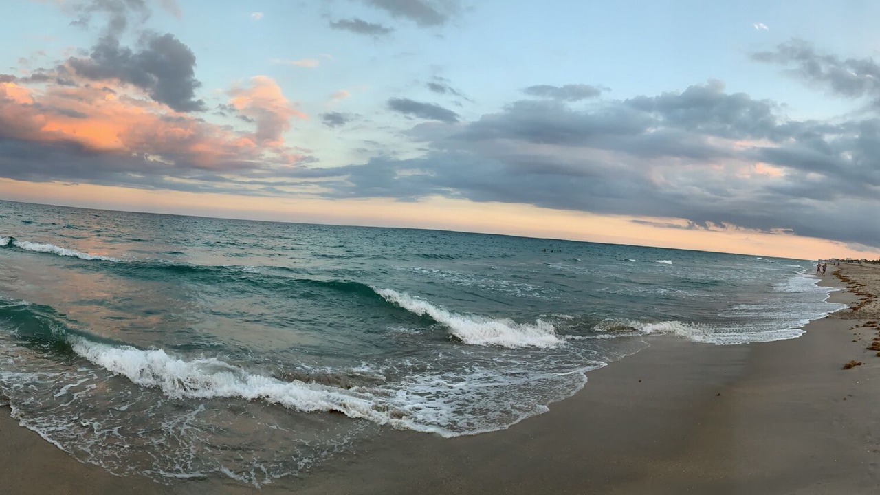 Photo of Others in Delray Beach