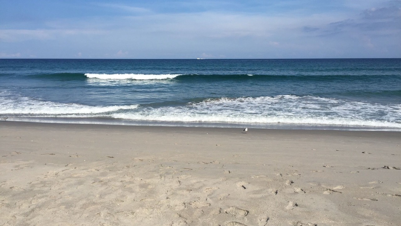 Photo of Others in Delray Beach