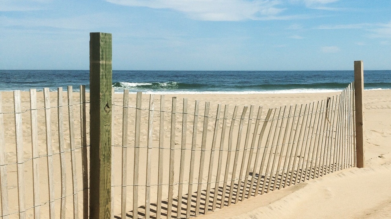 Photo of Others in West Beach