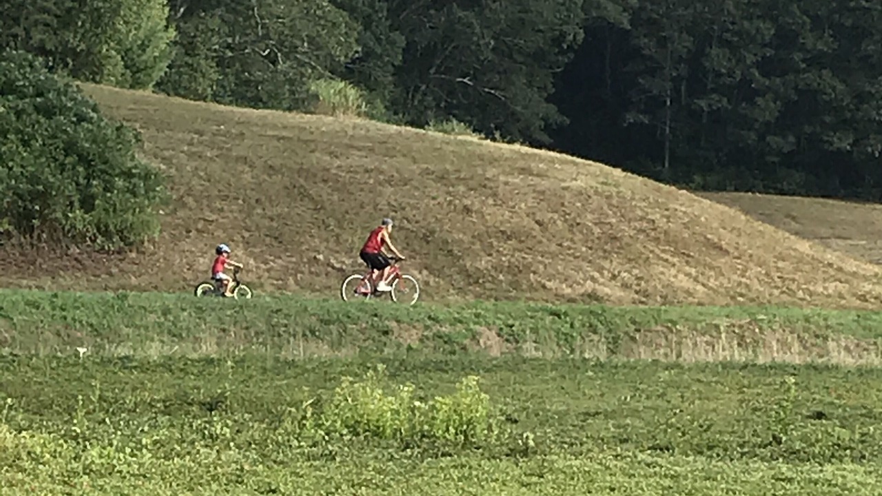 Photo of Others in North Falmouth