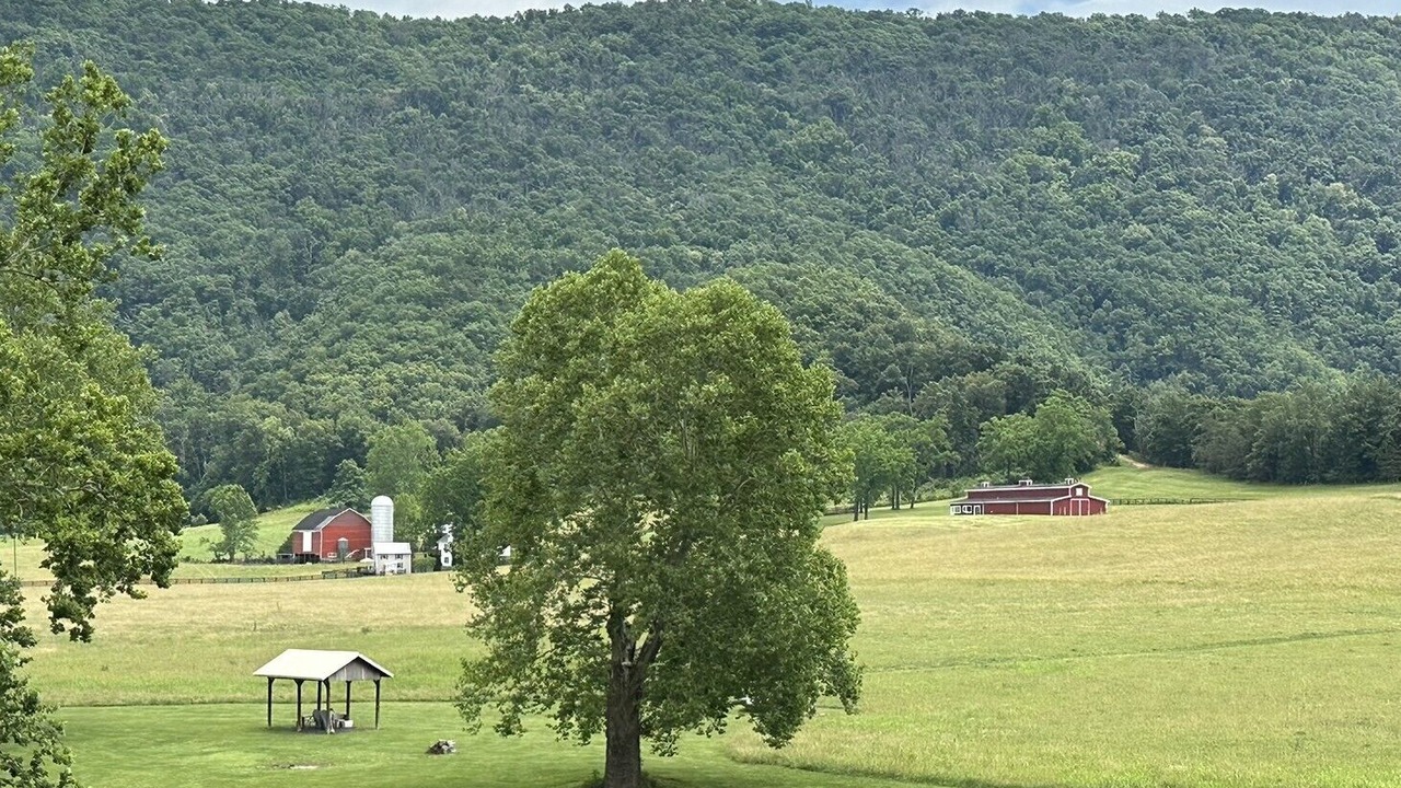 Photo of Others in Fishers Hill