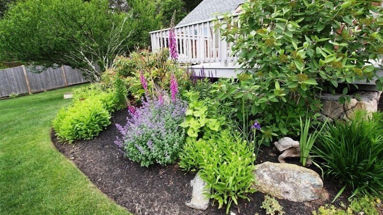 Photo of Outdoor in East Orleans