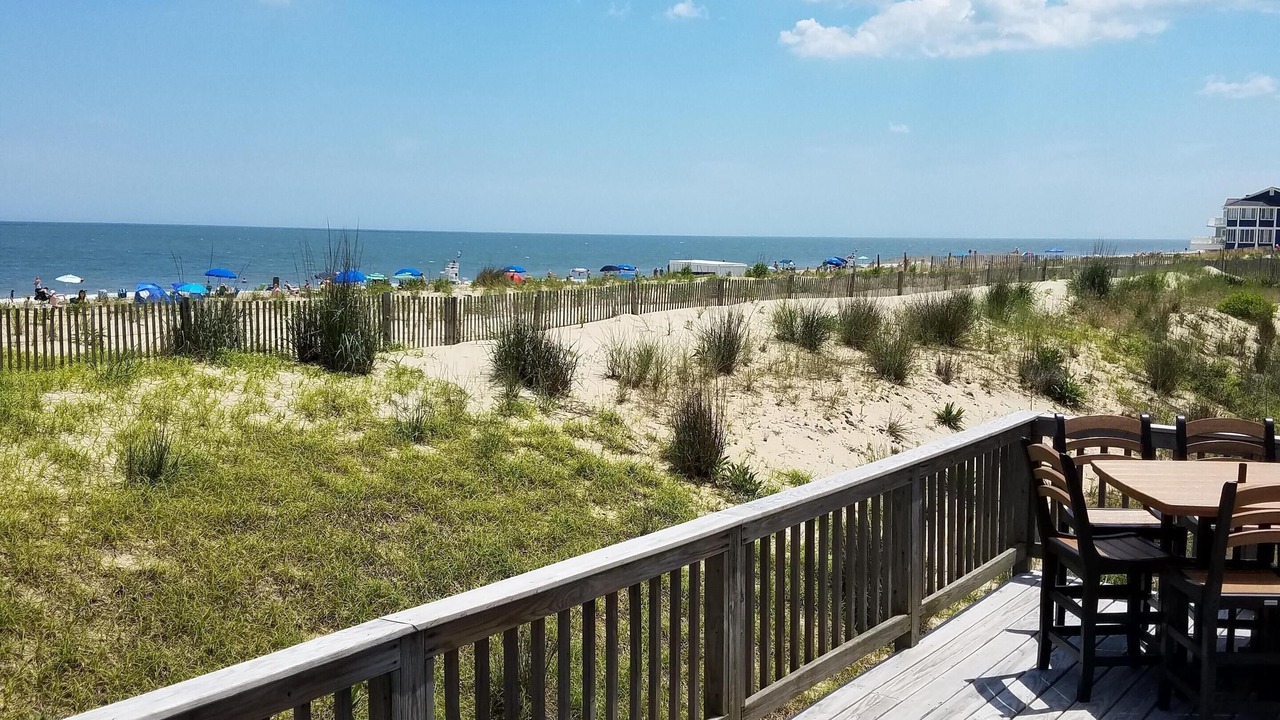 Photo of Others in Dewey Beach