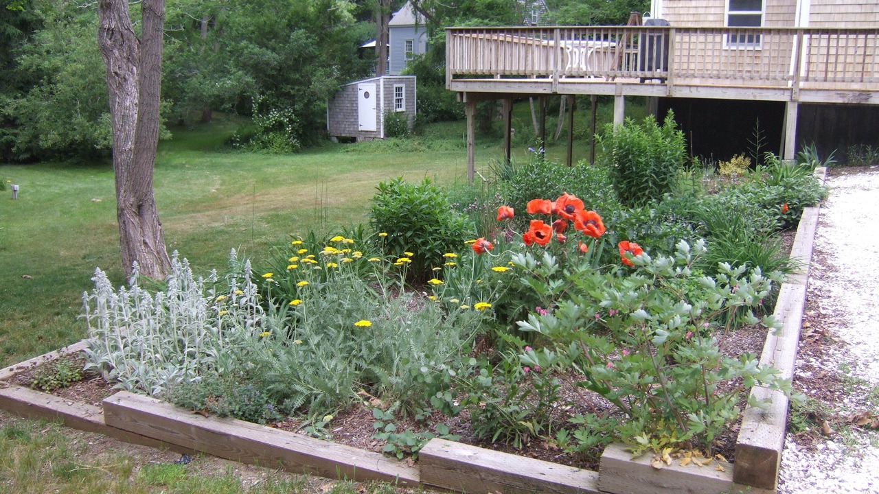 Photo of Outdoor in Wellfleet