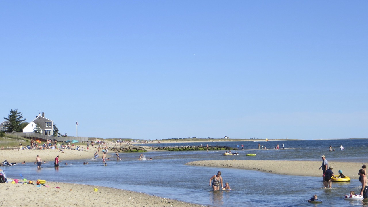 Photo of Others in West Chatham