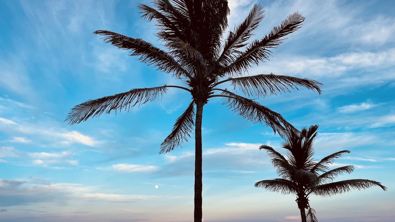 Photo of Others in Delray Beach
