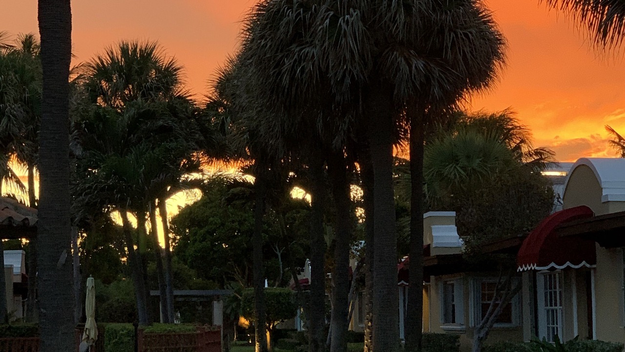 Photo of Others in Delray Beach