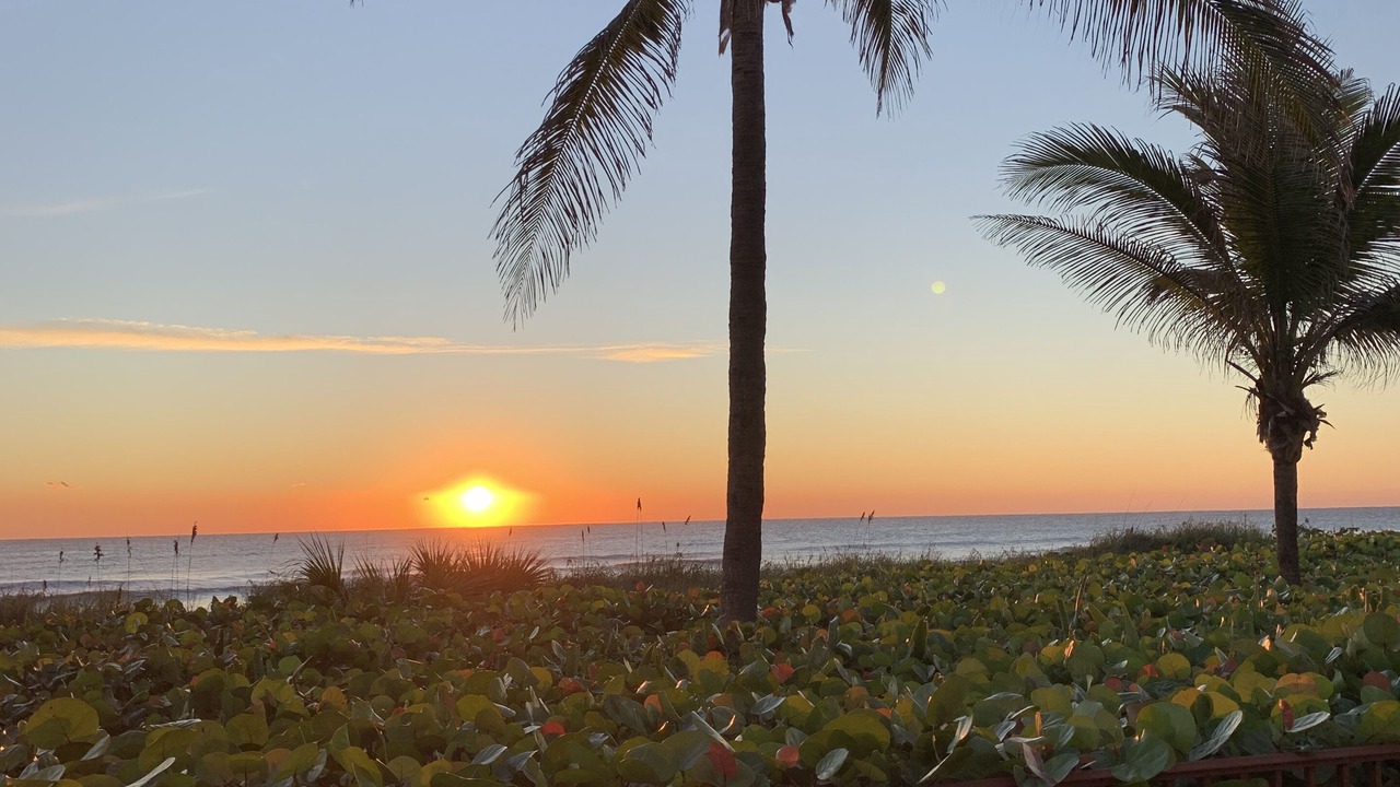 Photo of Others in Delray Beach