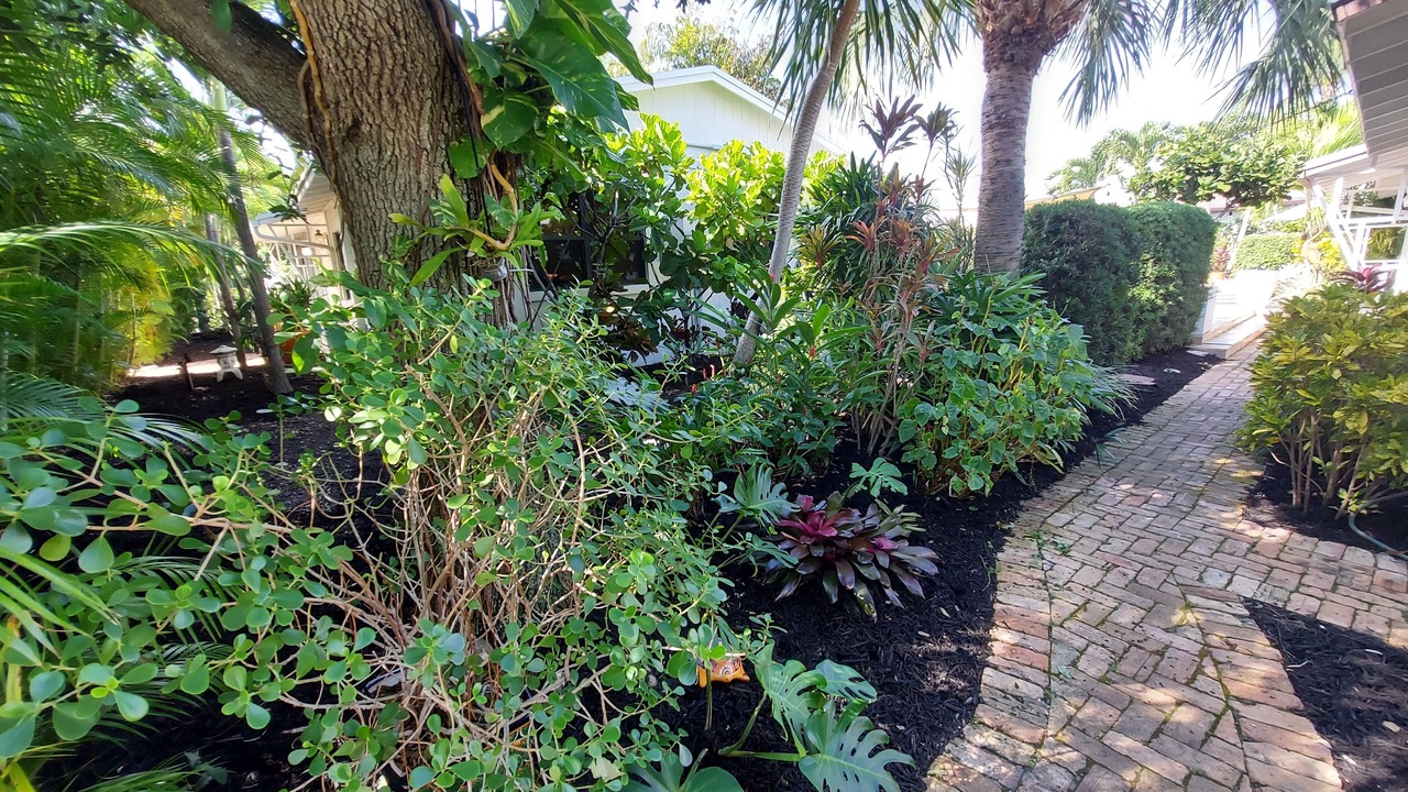 Photo of Outdoor in Delray Beach